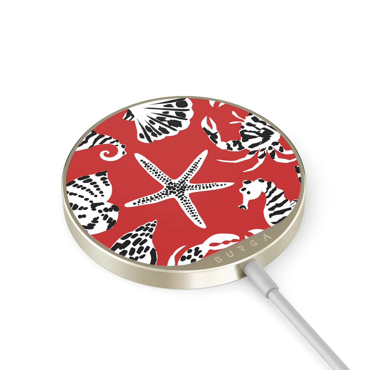 Hydra - Magnetic Wireless Charger