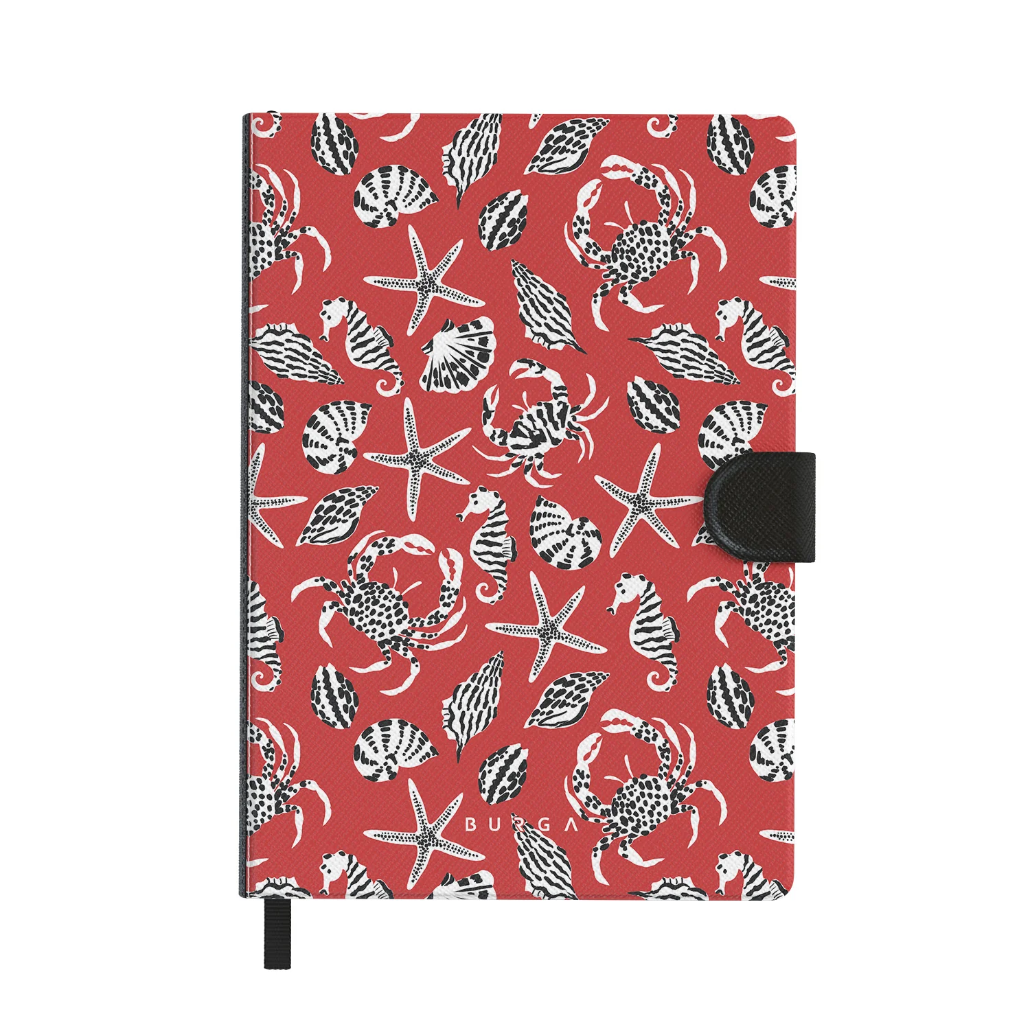 Hydra - Notebook - Image 2
