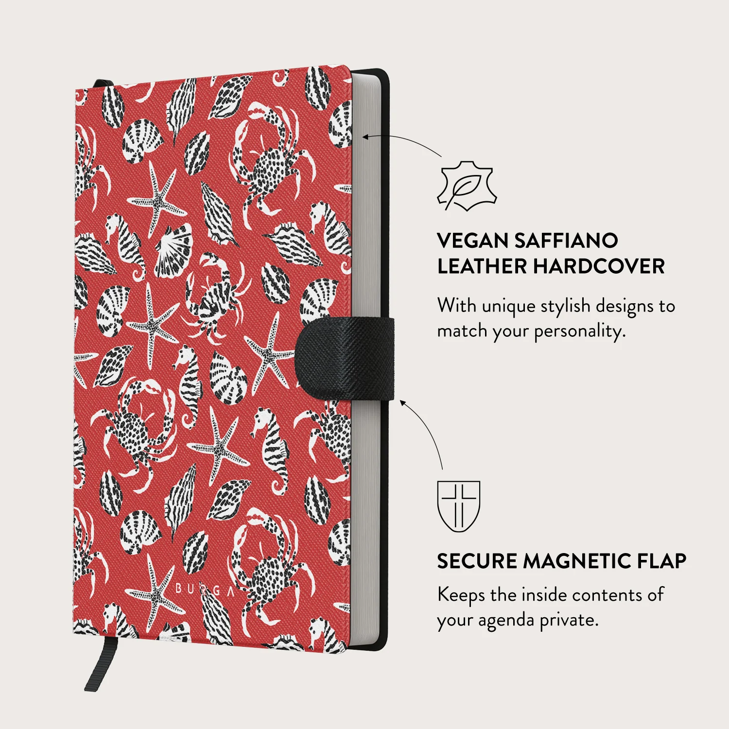 Hydra - Notebook - Image 6